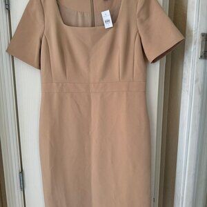 Ann Taylor Khaki Dress